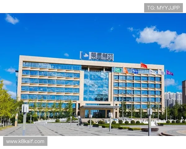 解决K8凯发国际开户过程中遇到的常见问题的实用技巧